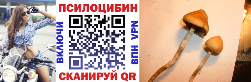 Галлюциногенные грибы Magic Shrooms  наркошоп  Железноводск 