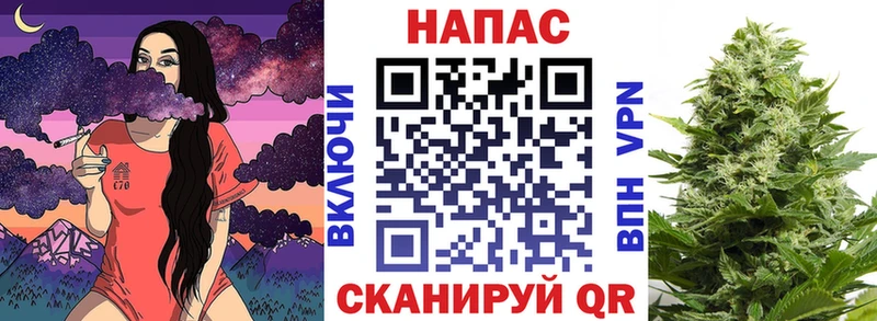 Конопля план  Железноводск 